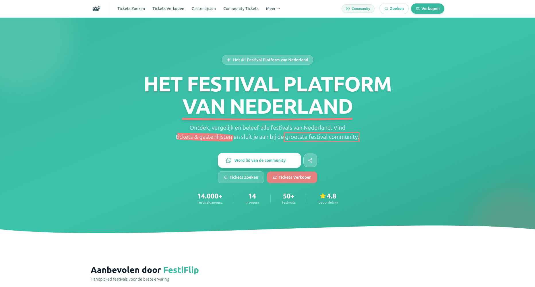 FestiFlip